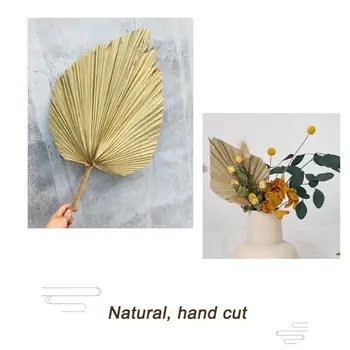 1 BUC Palma Fan de Floarea-soarelui Frunze Uscate Naturale din Frunze de Palmier Fan Planta DIY Petrecere Art Agățat de Perete Decor Nunta