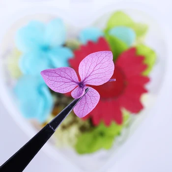 1 Cutie 3D Decoratiuni de Arta Unghiilor Conservate de Flori Proaspete de Unghii Colorate de Flori Uscate cu Penseta Unghii Accesorii scule