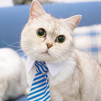 2020 Câine Pisica Cu Dungi Papion Animal Cu Dungi Papion Guler De Companie Reglabil Gât Cravată Guler Alb De Câine Cravata Pentru Petrecerea De Nunta