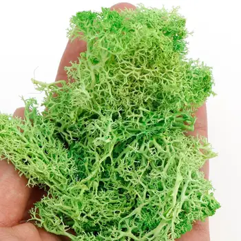 20g de Simulare a Plantelor Moss Fals Flori Uscate Acasă Living Decorative de Perete Peisaj Diy 12 Culori 0