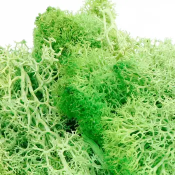 20g de Simulare a Plantelor Moss Fals Flori Uscate Acasă Living Decorative de Perete Peisaj Diy 12 Culori 1