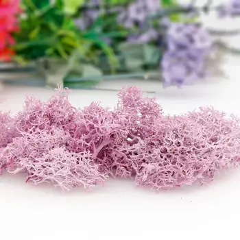 20g de Simulare a Plantelor Moss Fals Flori Uscate Acasă Living Decorative de Perete Peisaj Diy 12 Culori 4
