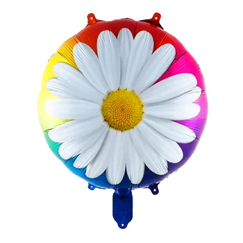 7pcs 18 Inch Daisy Baloane Folie Soare Smiley Curcubeu, Nori Desene animate Rotund Balon cu Heliu Copil de Dus la Petrecerea de Ziua Decor 2