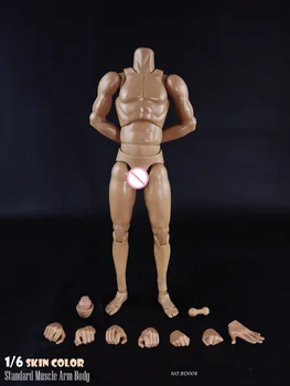 BD001 BD003 1/6 Scară Standard de sex Masculin Corpul Muscular Figura Îngust / Lat, Umerii Mare Figura Model de 12