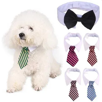 Costum de pisica Lega & Clip Cravată pentru Câini și Pisici, Pisică Jucărie, Guler Pisica, caine de Companie Cravată, Moda cu Dungi Câine Cravată 0