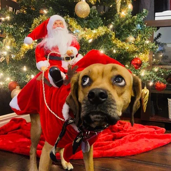 Crăciun Cățeluș Câine Haine De Iarnă De Companie Strat De Îmbrăcăminte Tinuta De Iarna Festival De Crăciun Costum De Decor Festivalul De Câine Accesorii