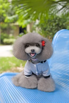Dungi Hoodes Model De Scrisoare De Câini De Companie Sacou Haina Mici Cățeluși Vesta De Îmbrăcăminte
