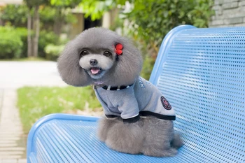 Dungi Hoodes Model De Scrisoare De Câini De Companie Sacou Haina Mici Cățeluși Vesta De Îmbrăcăminte 5