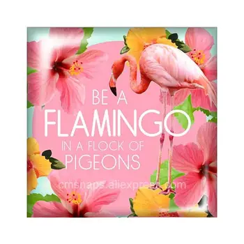 Frumusețea Păsări Flamingo Moda 10buc amestecat 12mm/20mm/25mm/30mm fotografie Pătrat de sticlă cabochon demo spate plat Efectuarea de constatări