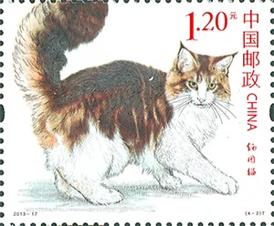 Pisici , 4 bucati / Set , Imprimare În 2013-17 , Toate Noi Pentru Colectarea China Timbre Poștale 0